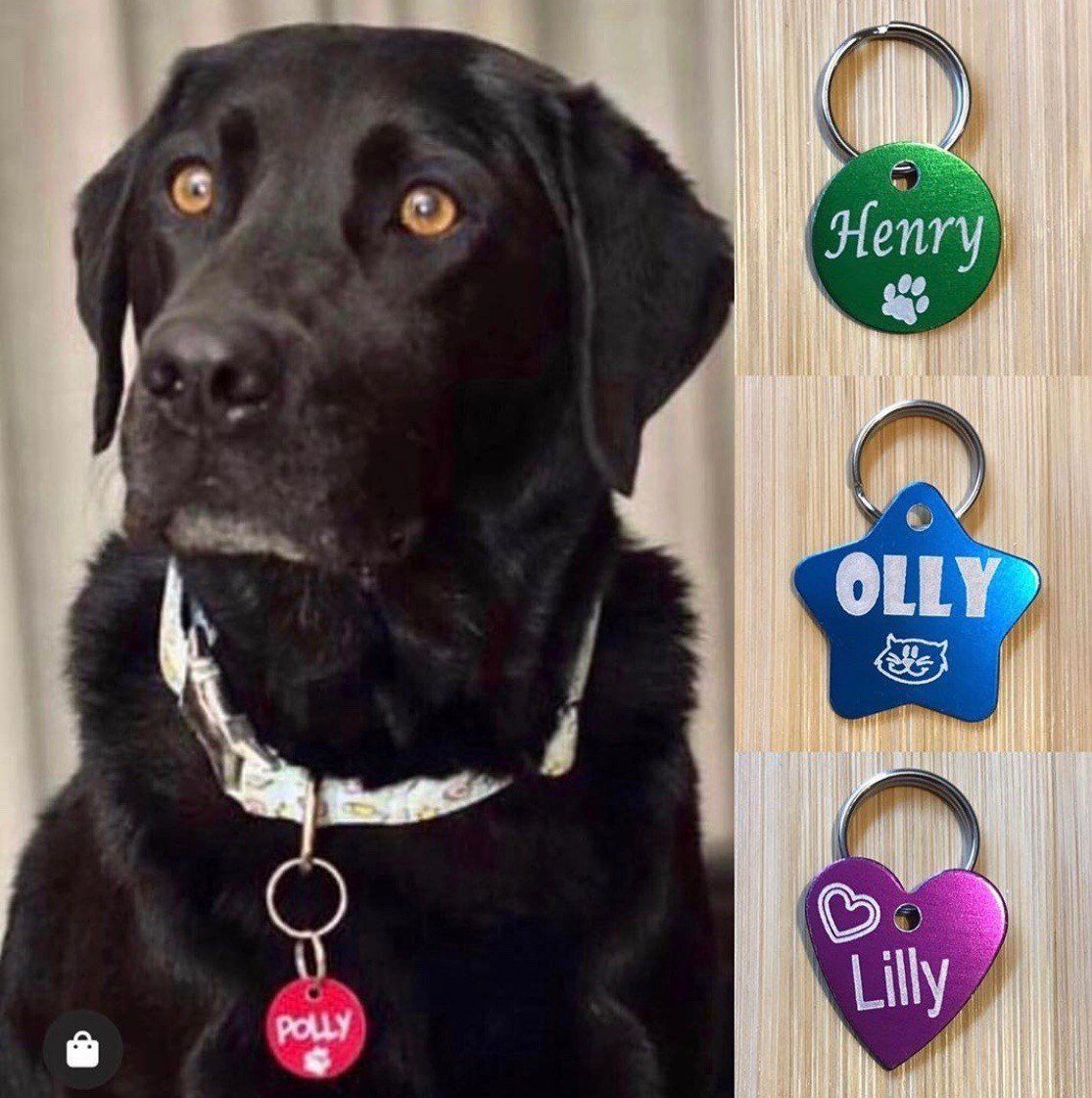 Engraved Designer Pet ID Tags Engrave Works 